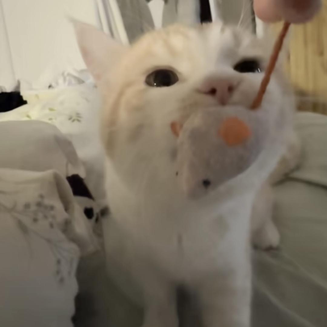 听说名字长会有傻子跟着念