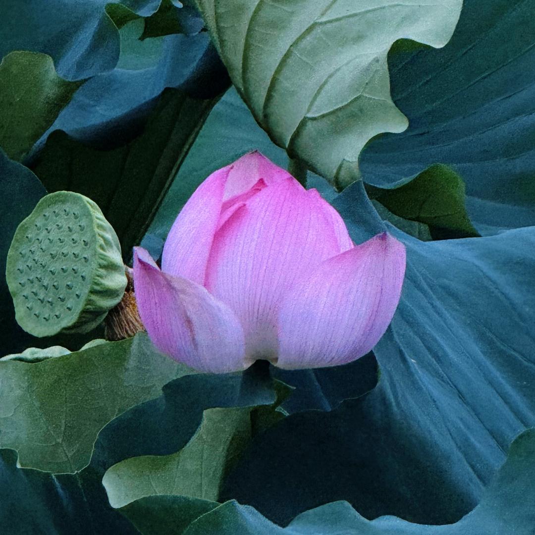 你们玩儿吧