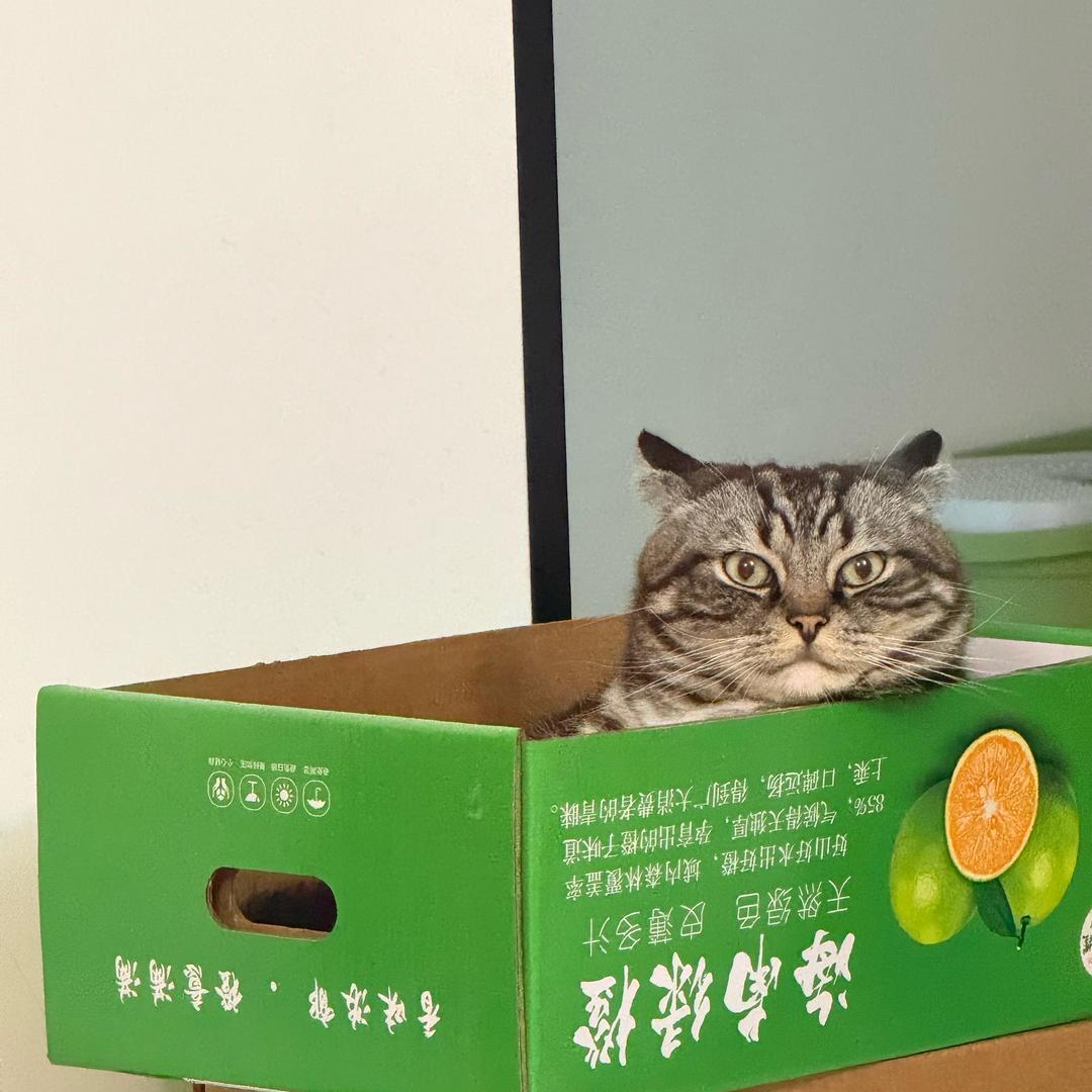 🩵大运呐(ૢ˃ꌂ˂⁎)