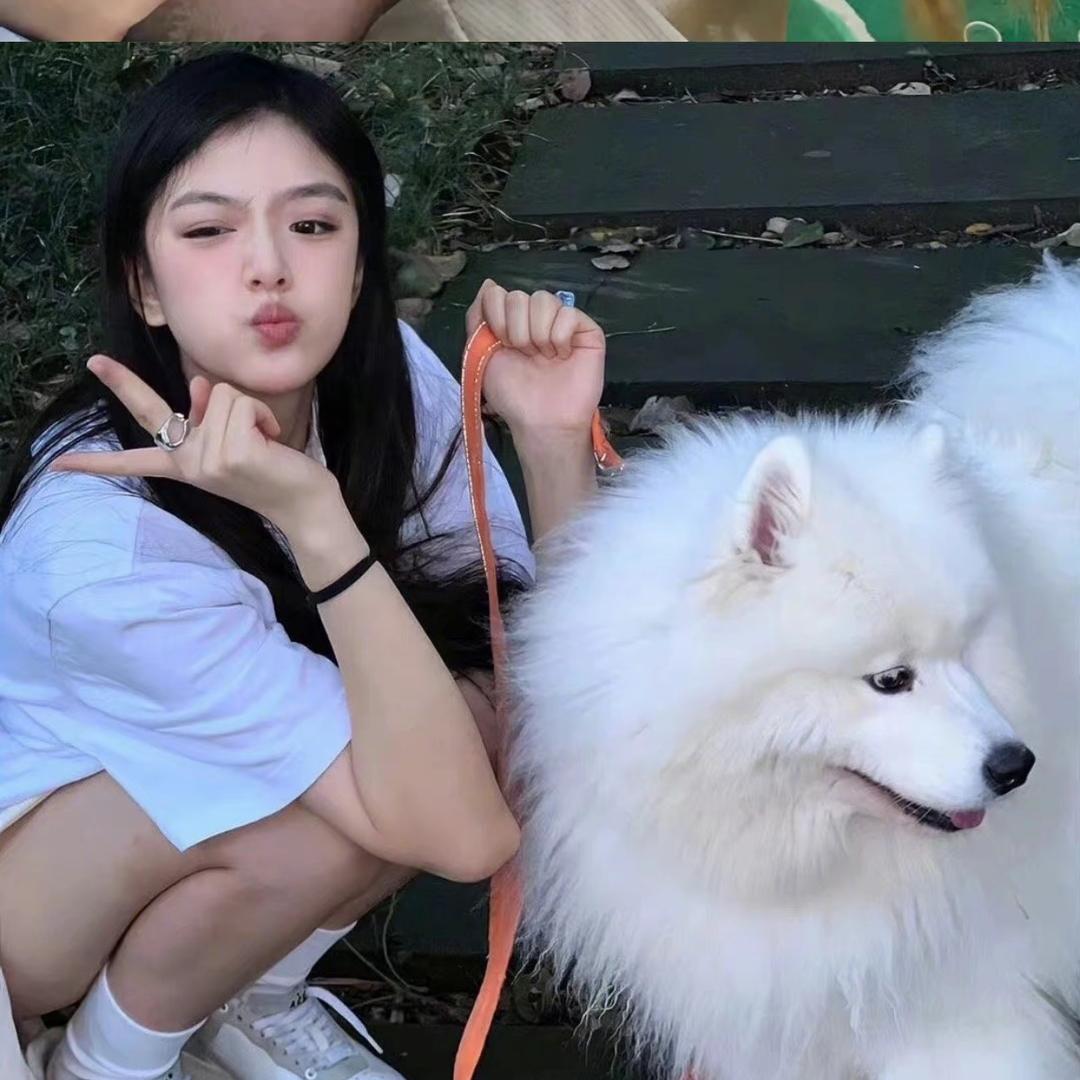 小羊困了