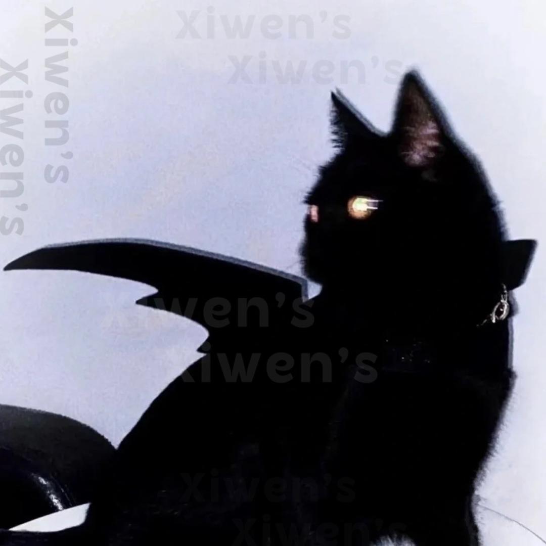 XiiENw