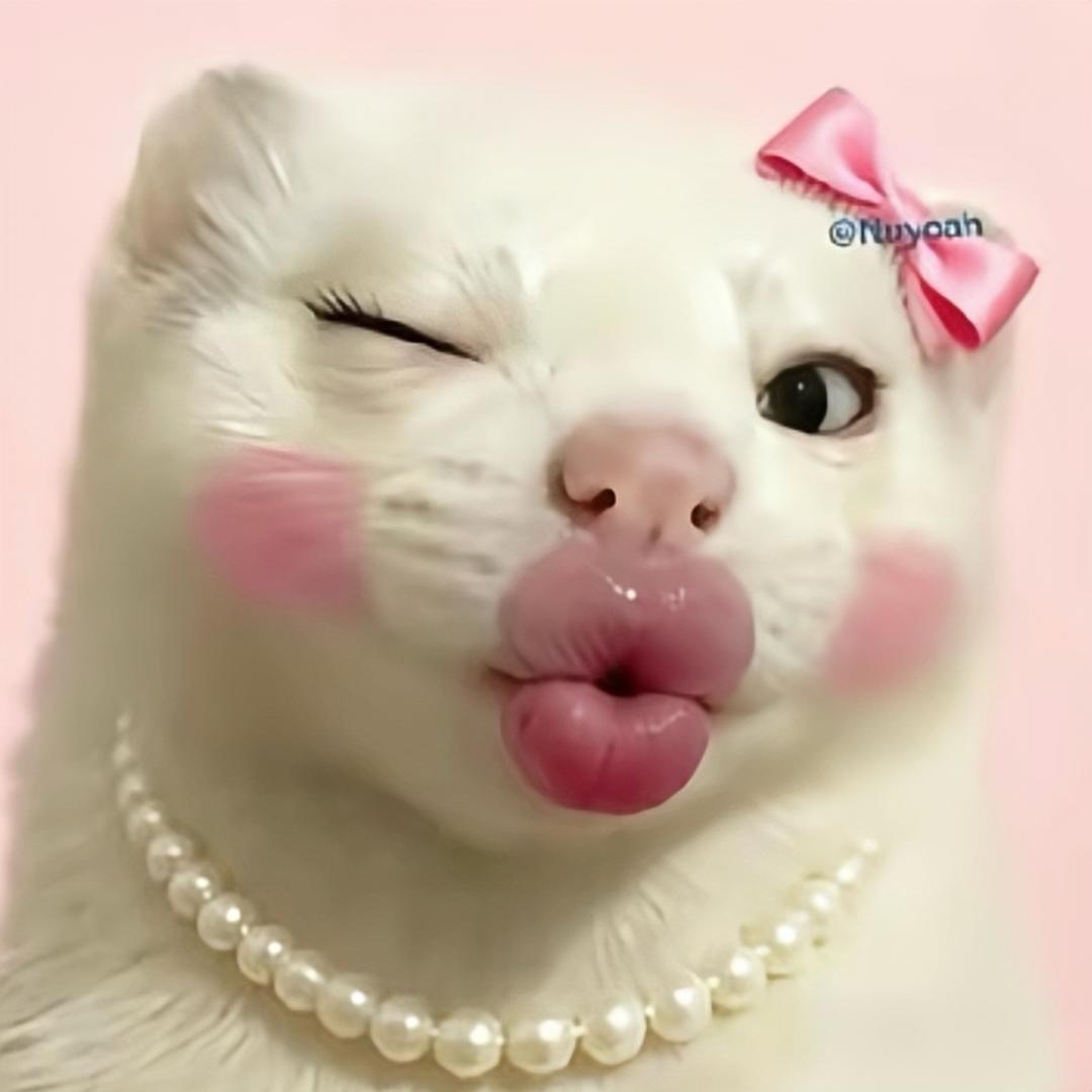 XxFnAng的备忘录.