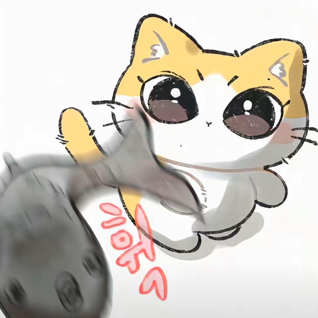 鱿鱼圈