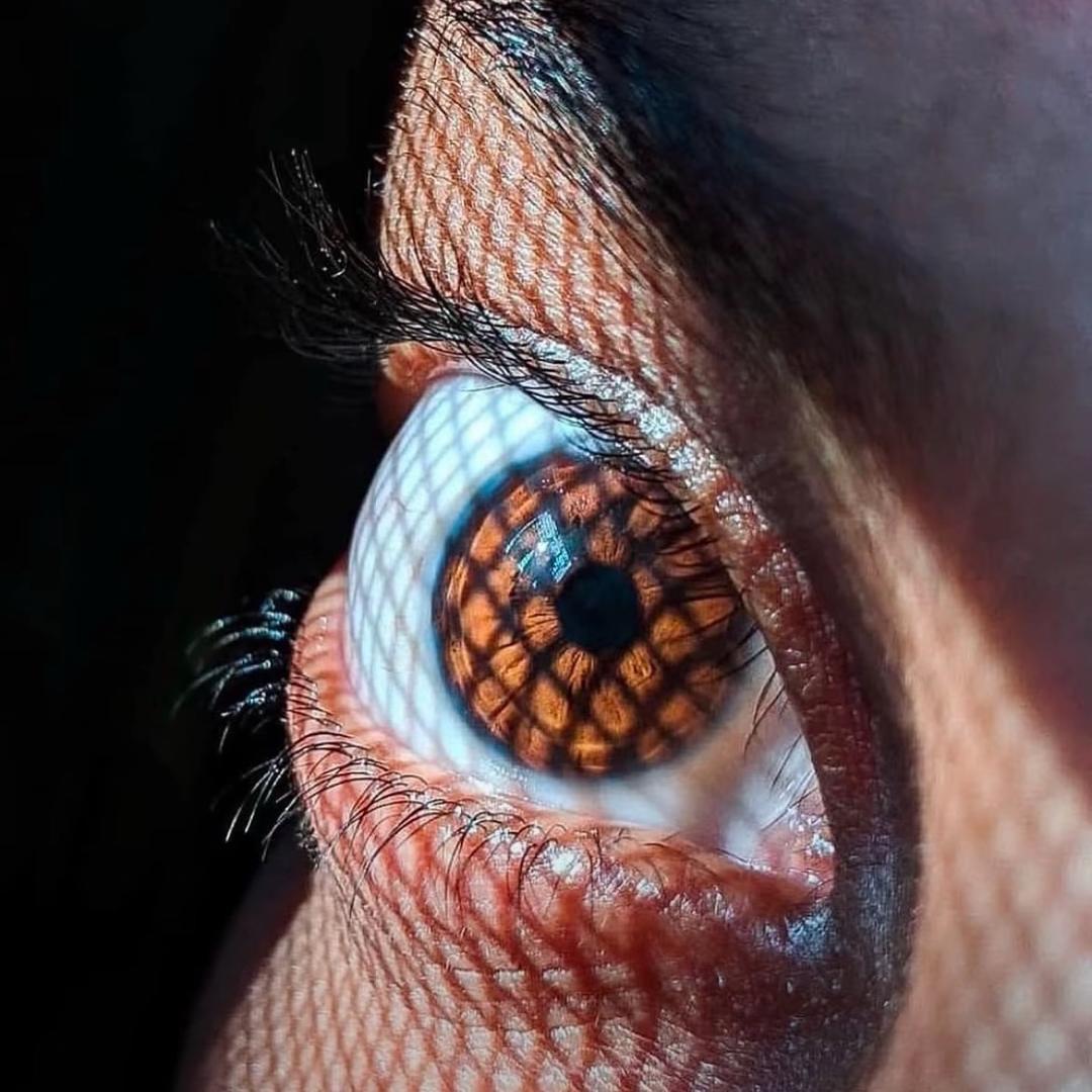 𝟒𝟎𝟒_𝐯𝐞𝐫𝐬𝐞