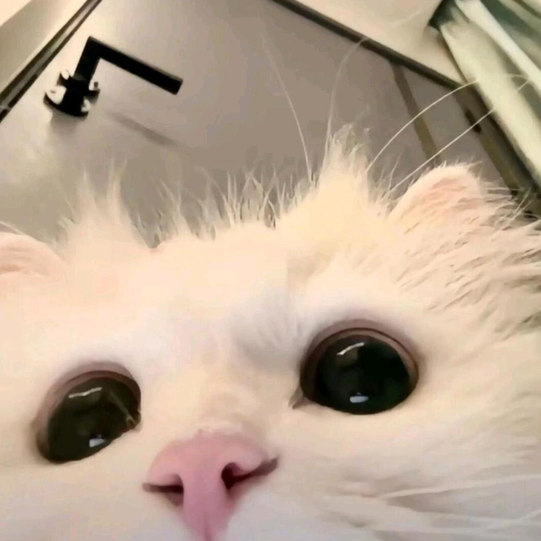 又想睡觉了