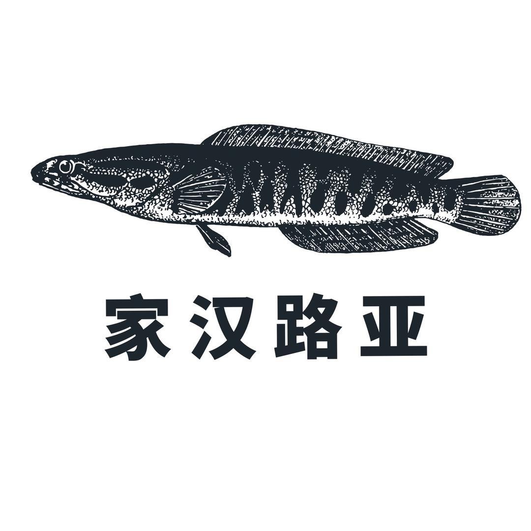 家汉路亚钓具