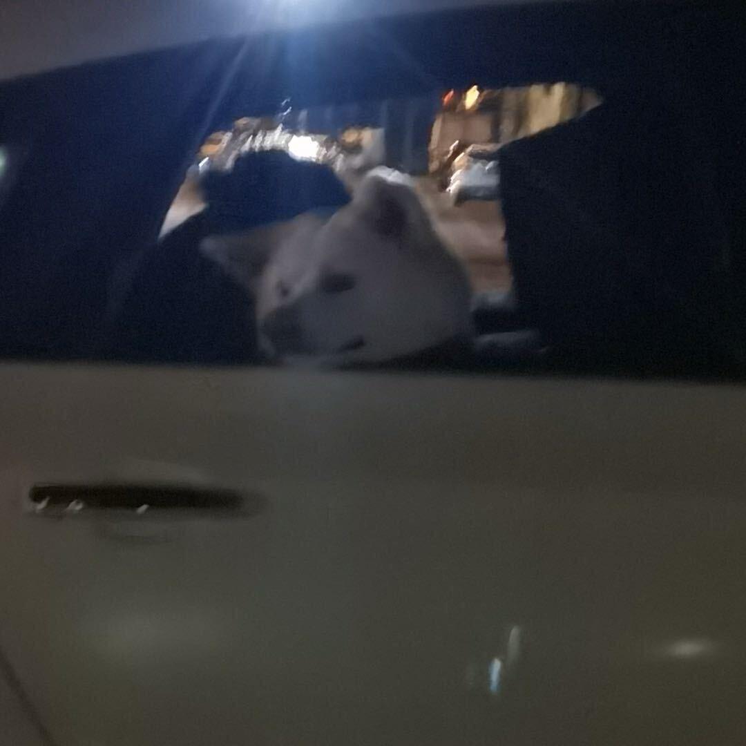 xxxxxx11