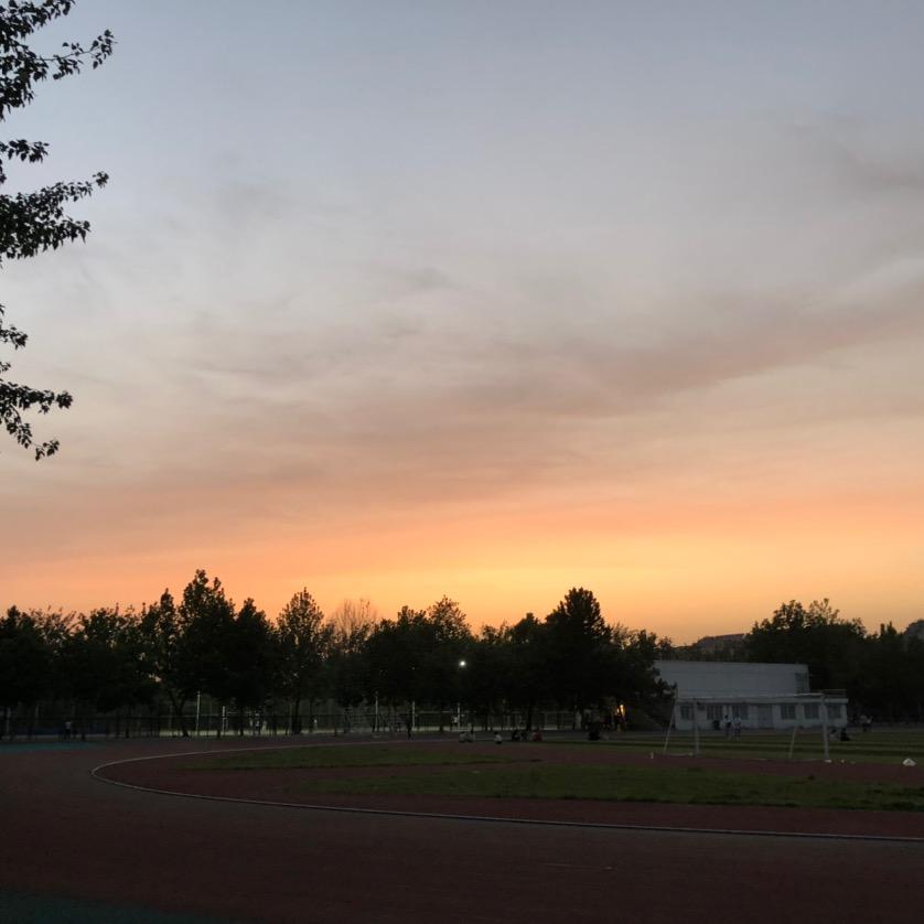 兰韵铁观音拿铁