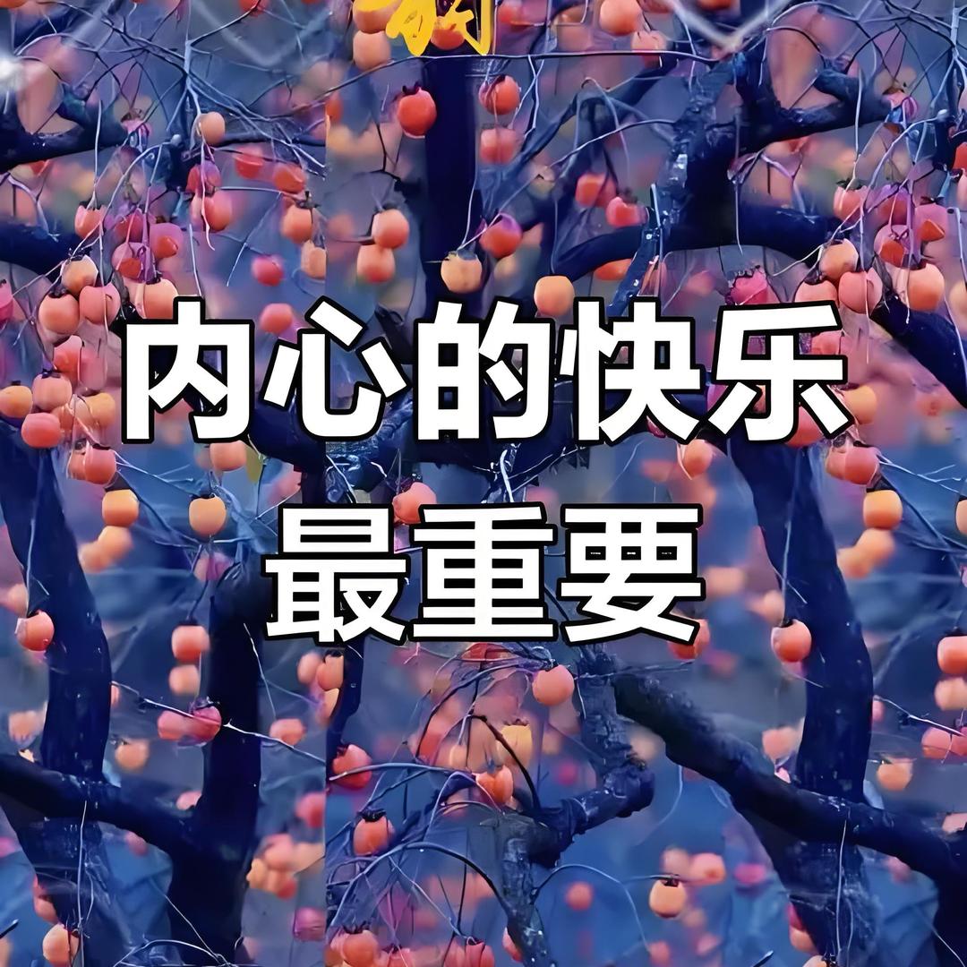 好人一生平安