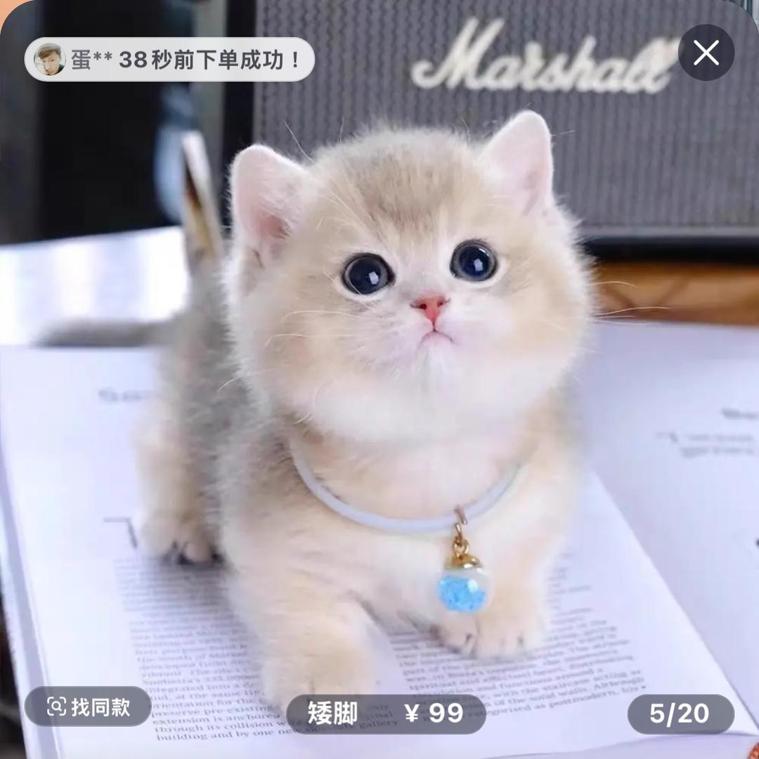 楠楠ʕ๑'ꇴ'๑ʔ🐾 ❤️