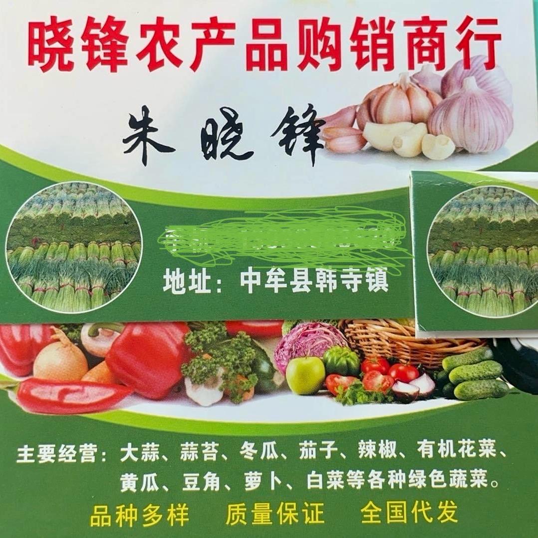 晓峰蒜业代收各种蔬菜