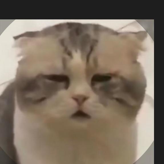 帝霖