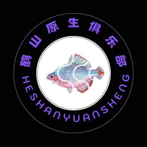 奇偶记