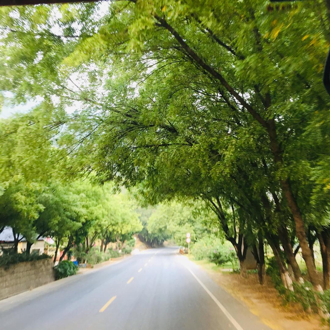 山水之间😊拒聊❤️