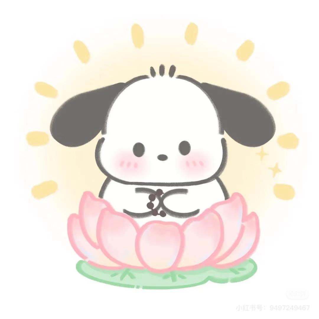 布布小王