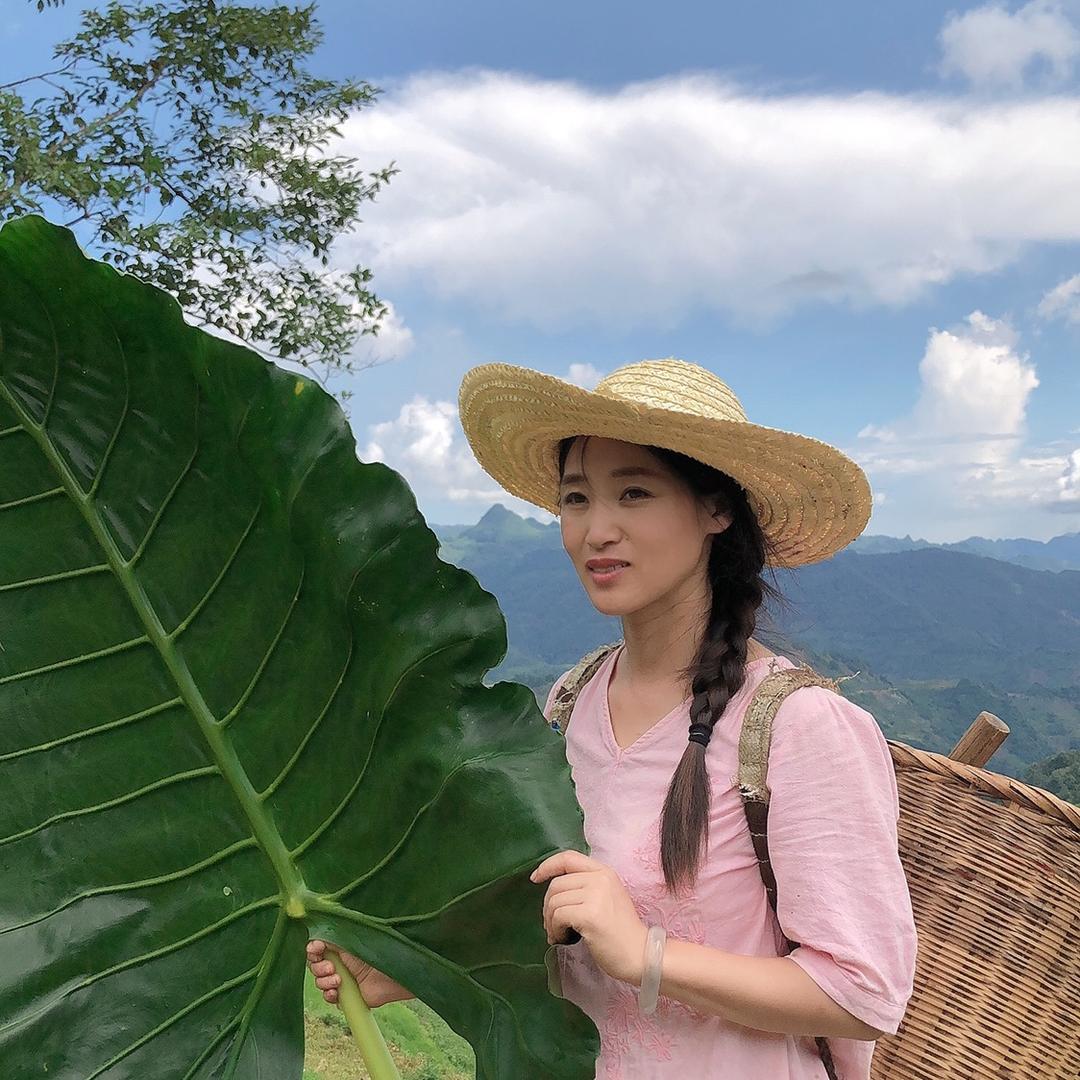 金笠爱养生(金立爱生活)