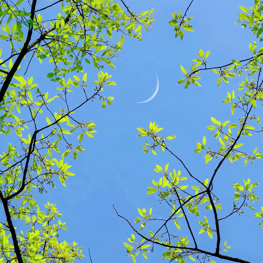 宿州艺美装修设计-陈陈