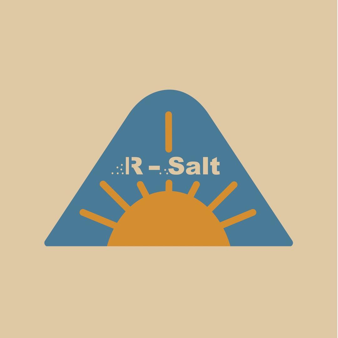 R•Salt真盐艺术