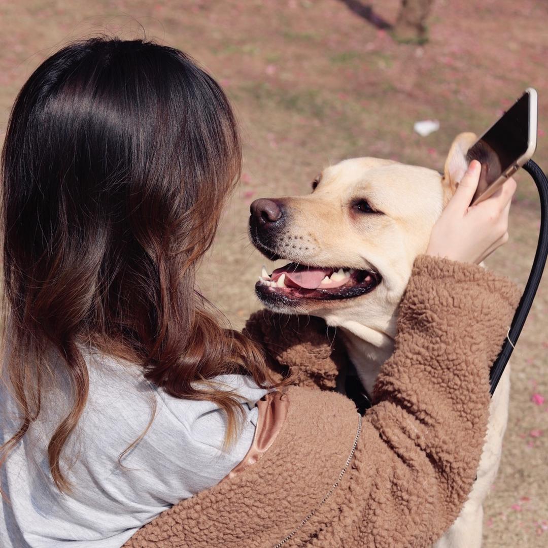 会飞的热带鱼🐠