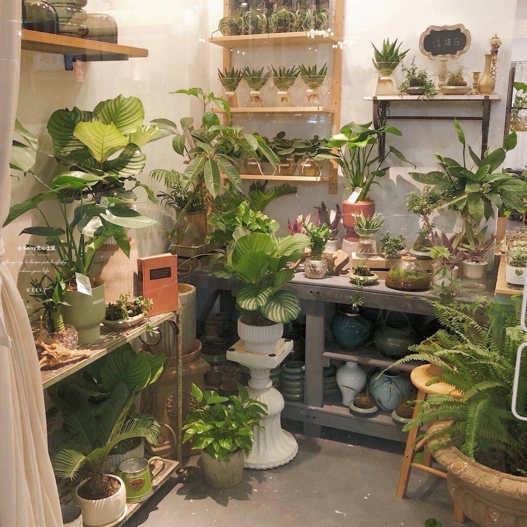 青野间绿植仓（氧气盒子）