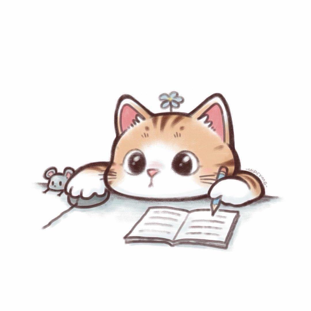 昆明学长伴学家庭教育