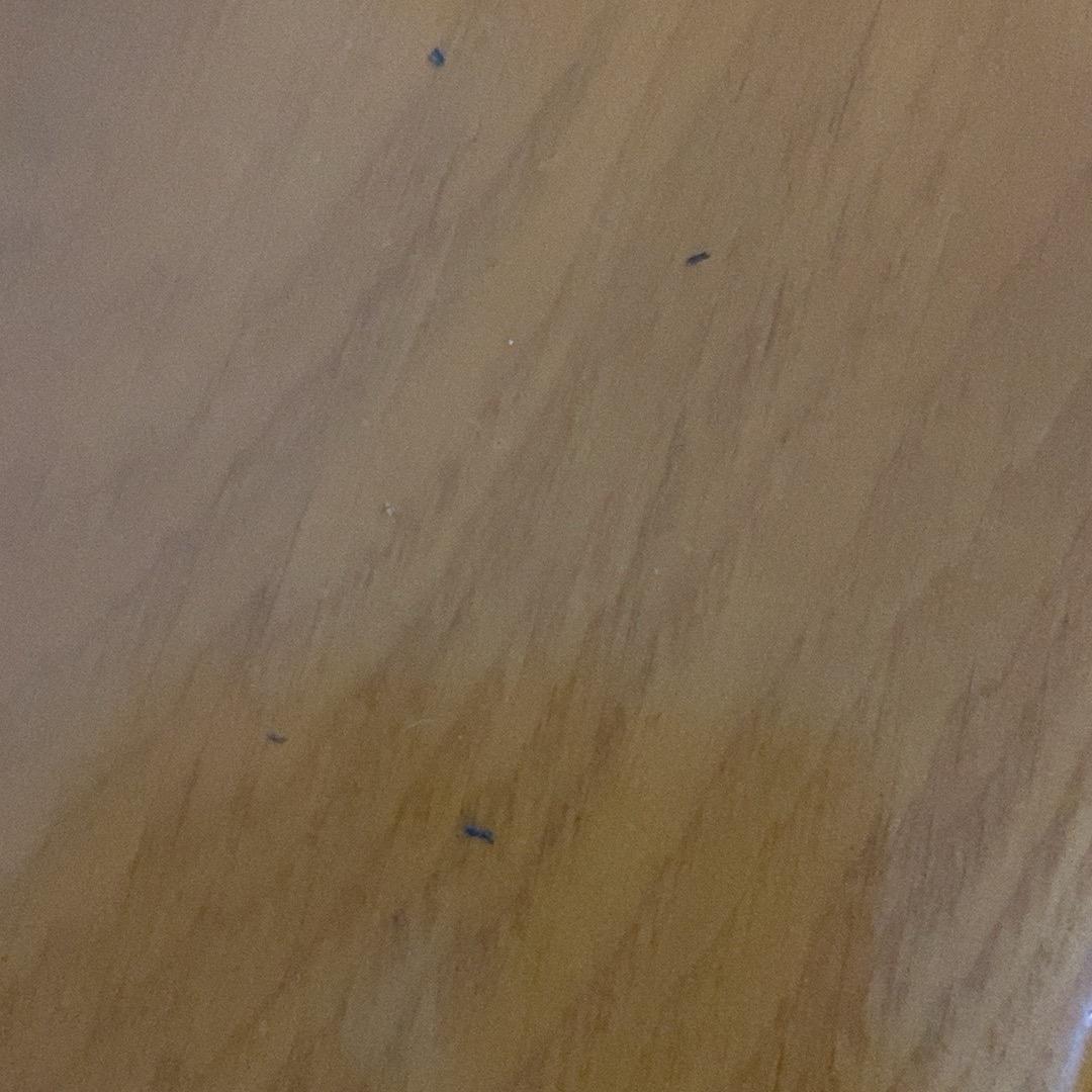 aa占东⌚️陈生