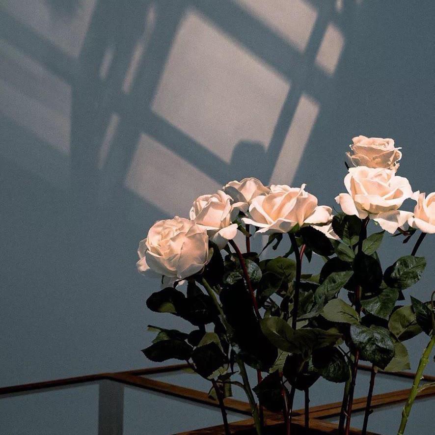 Lucky lady- 幸运姐