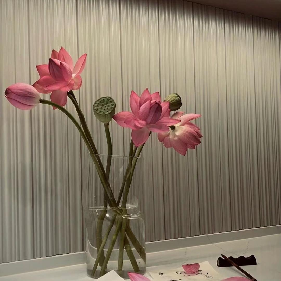 桂花分享