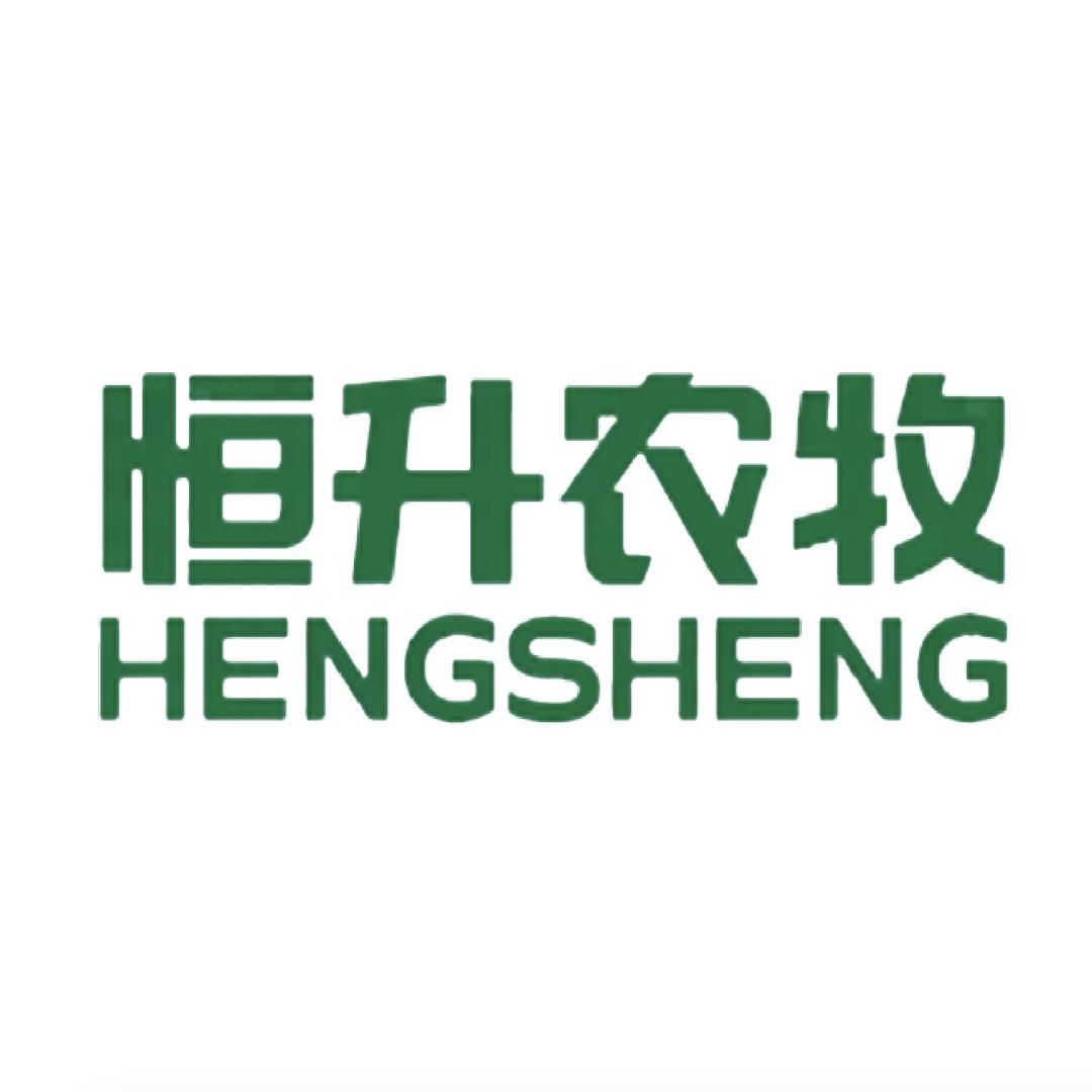 恒升纯牛奶粉
