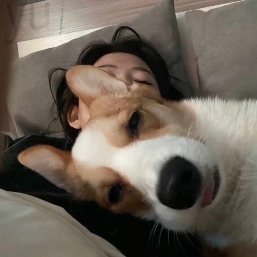 亚洲名流韦小宝