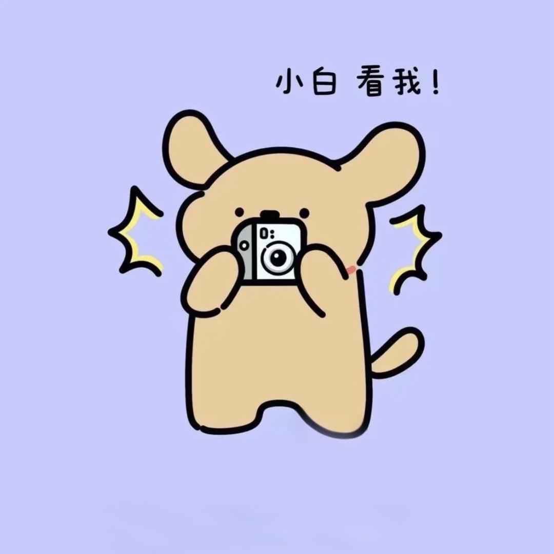 无情老干部💛