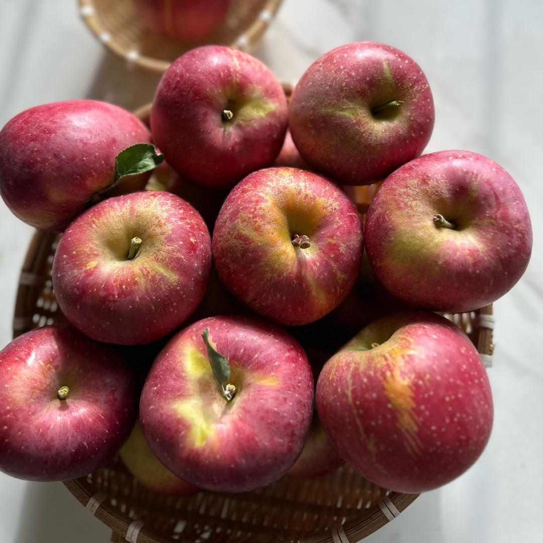 正宗云南昭通丑苹果