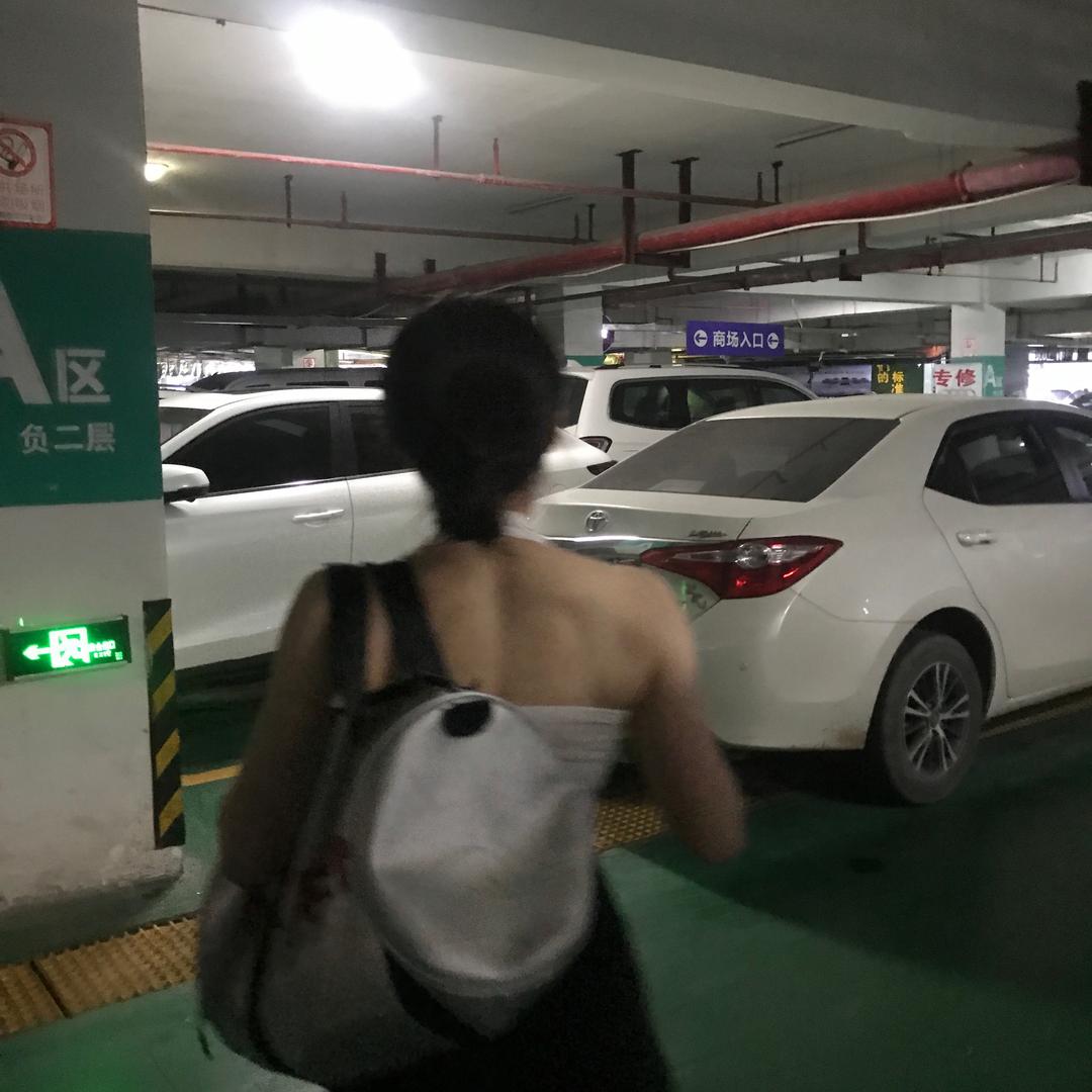 苏北全智咸