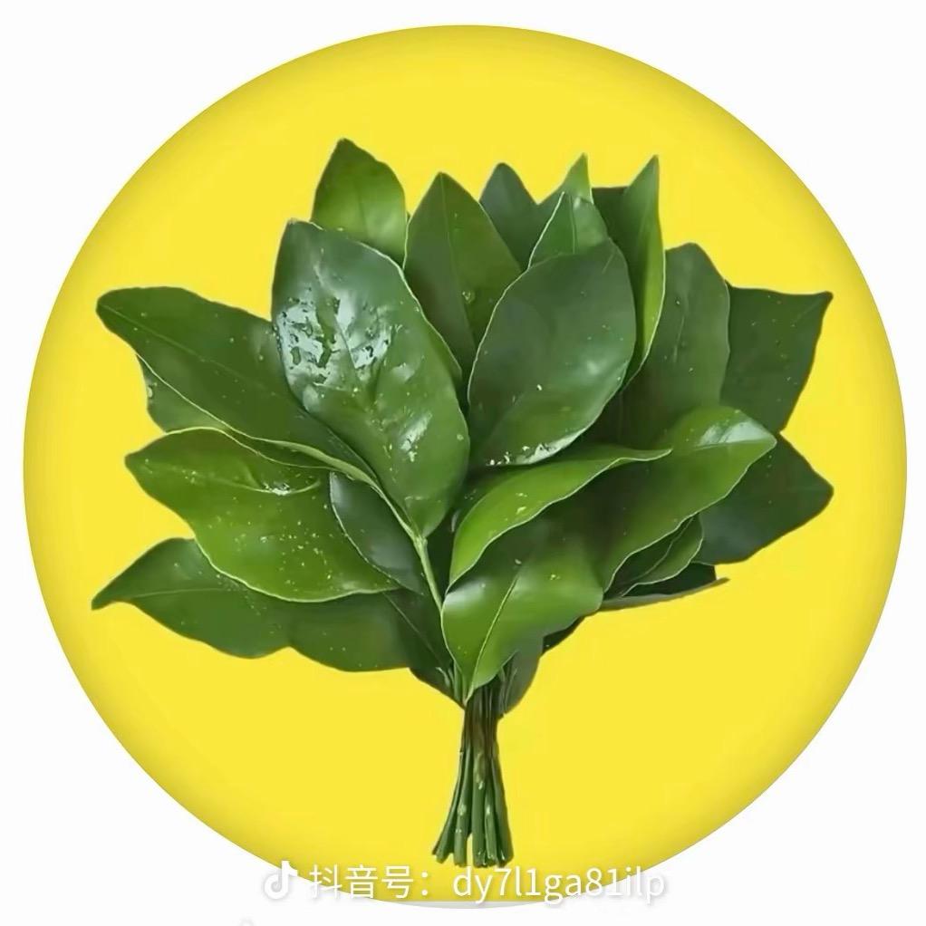 ღ᭄是小古吖ღ᭄