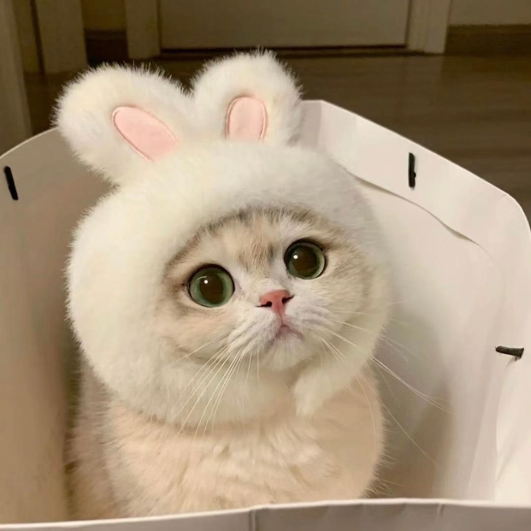 蘇軟.