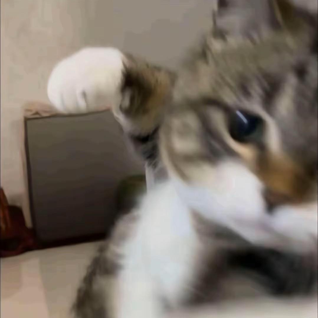三口一头猪_