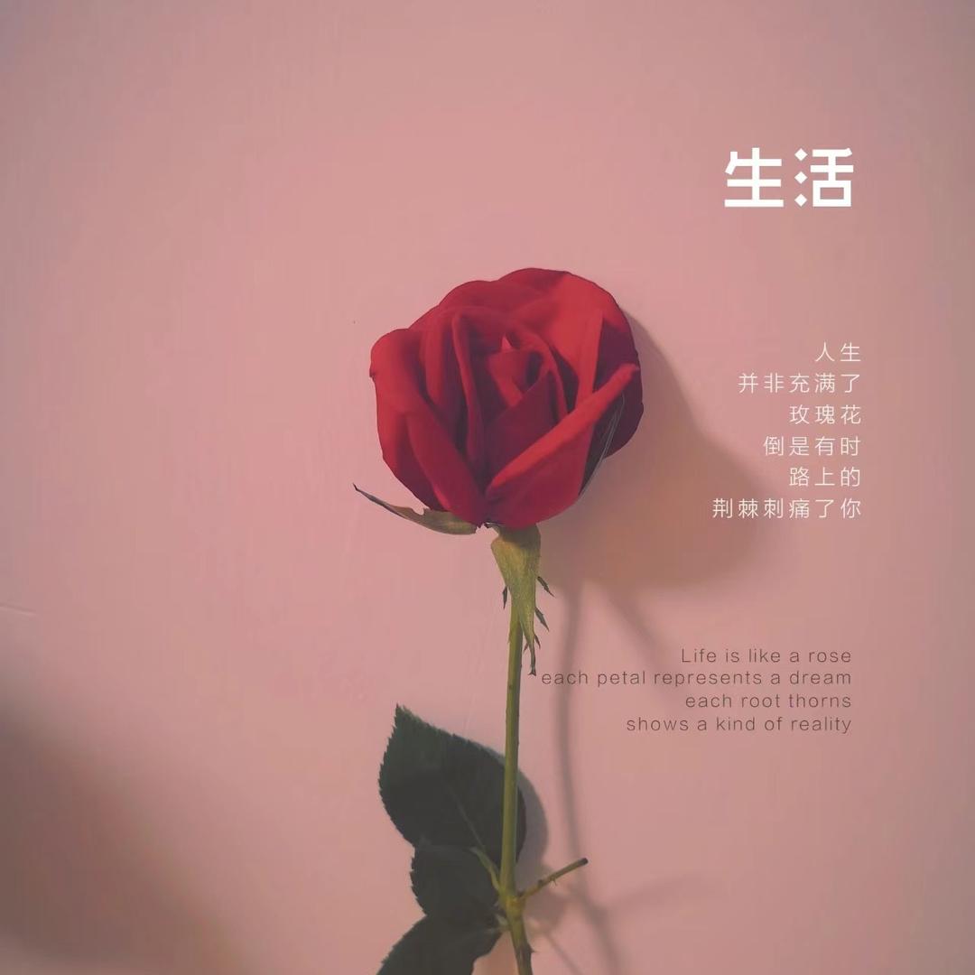 小咪