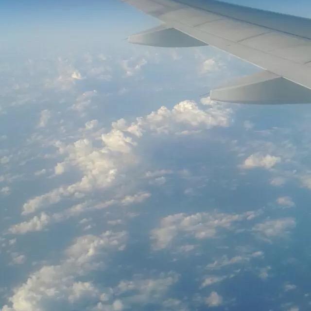 Ass'多咯多“”咯