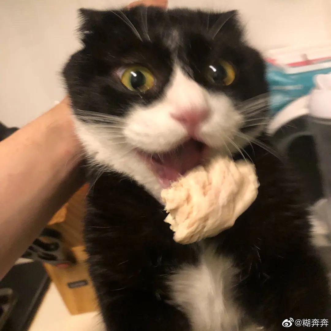 #呱