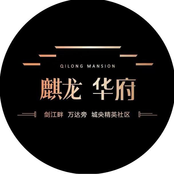 麒龙华府/首座天街