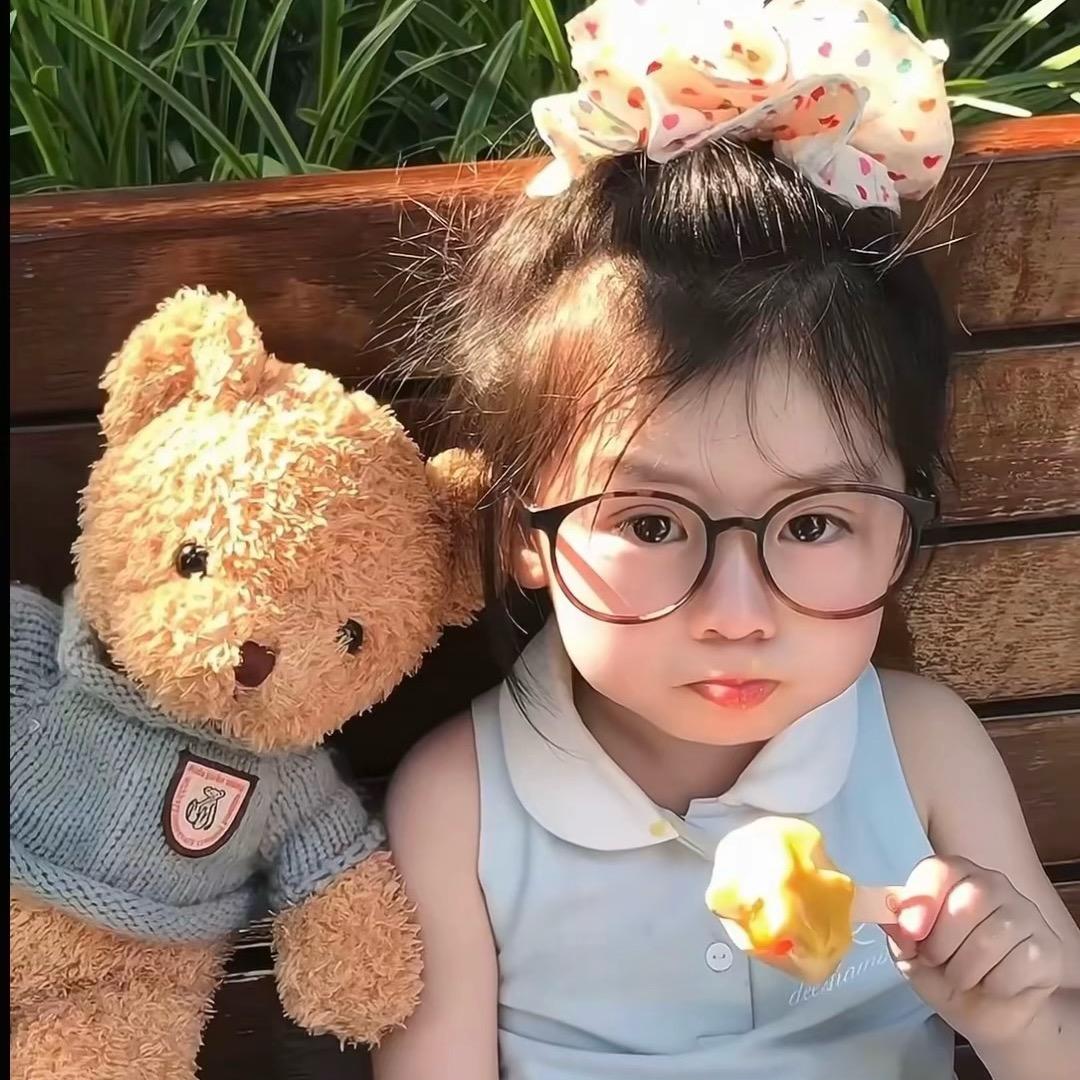 Y.zj
