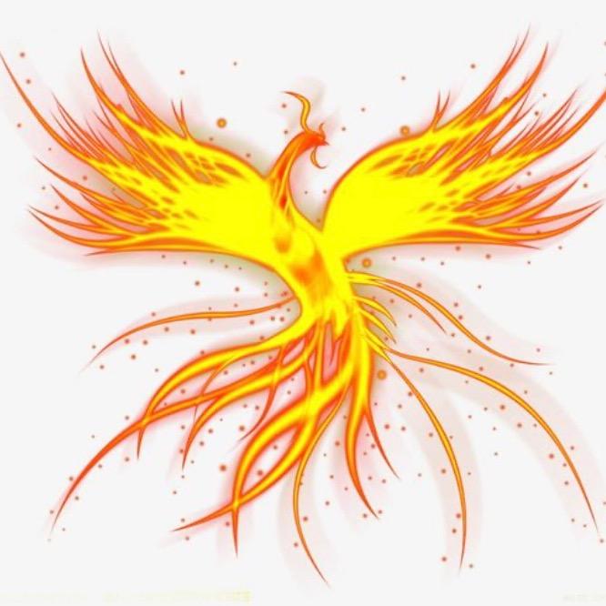 🌳余༗࿆࿐ཻ℡ ▎ゝ༺ོ༲༽ཽ 森