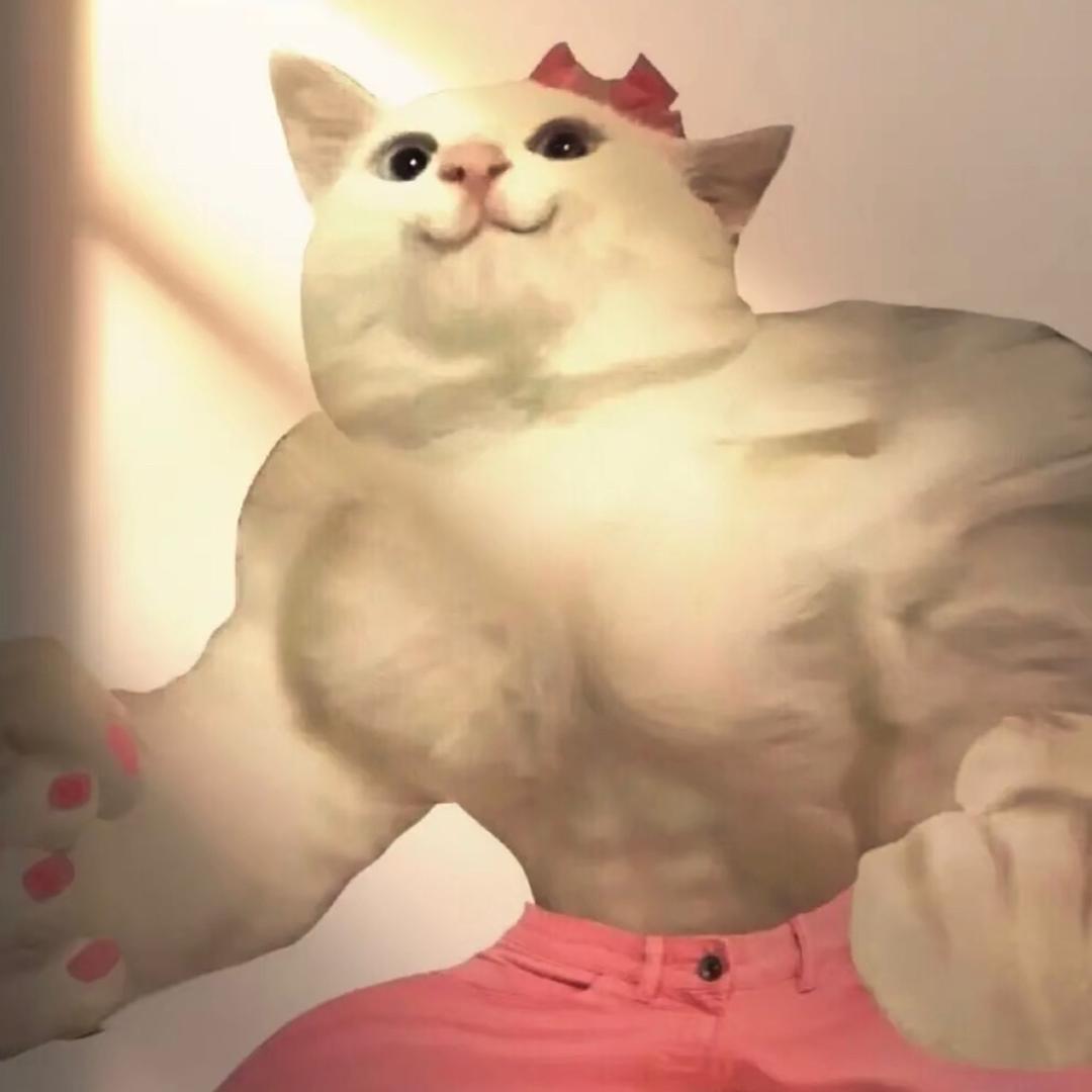 猪小妹💨