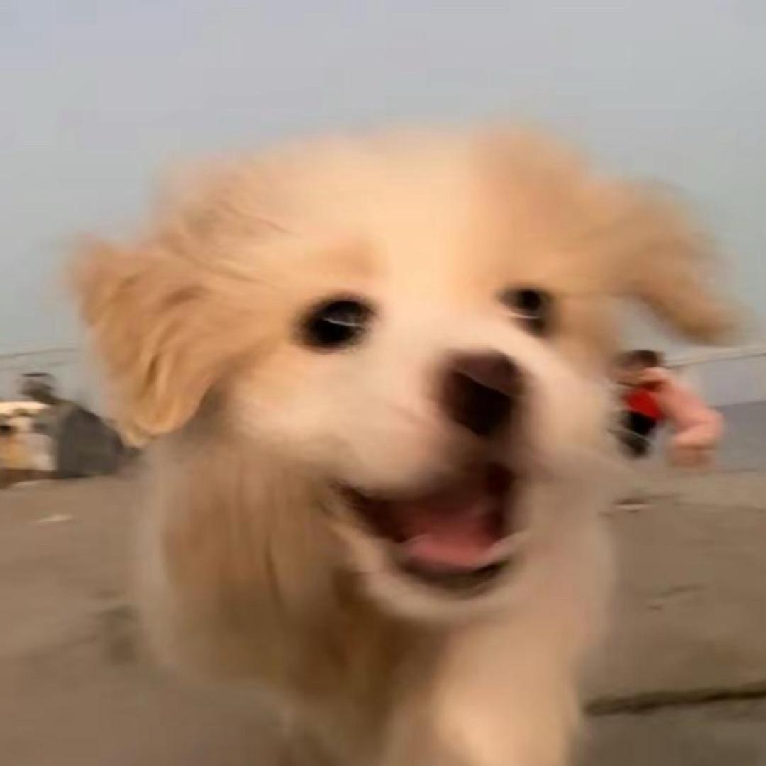 𝘿𝙈. 𝙭𝙭𝙭