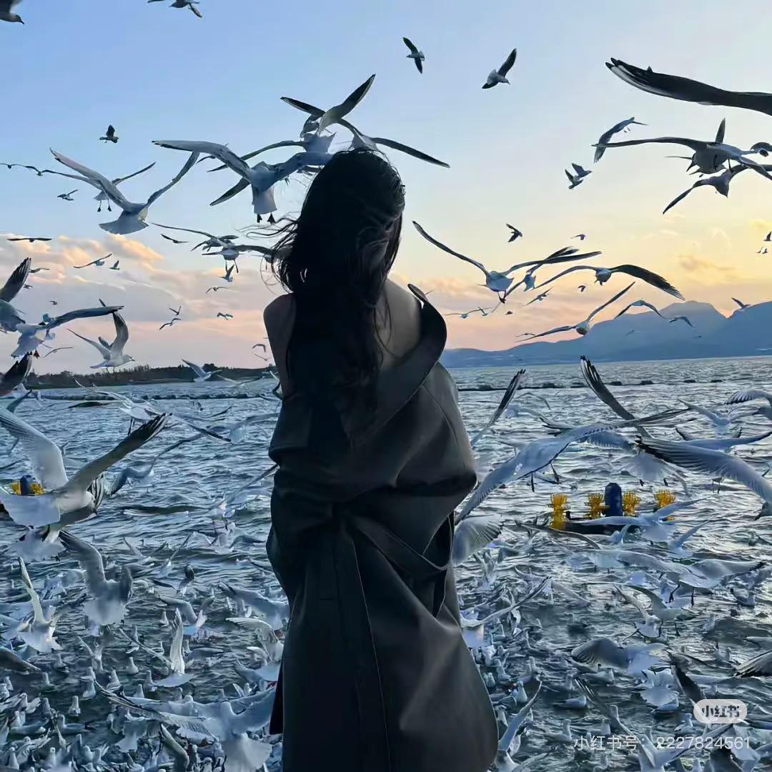 曉 雨·