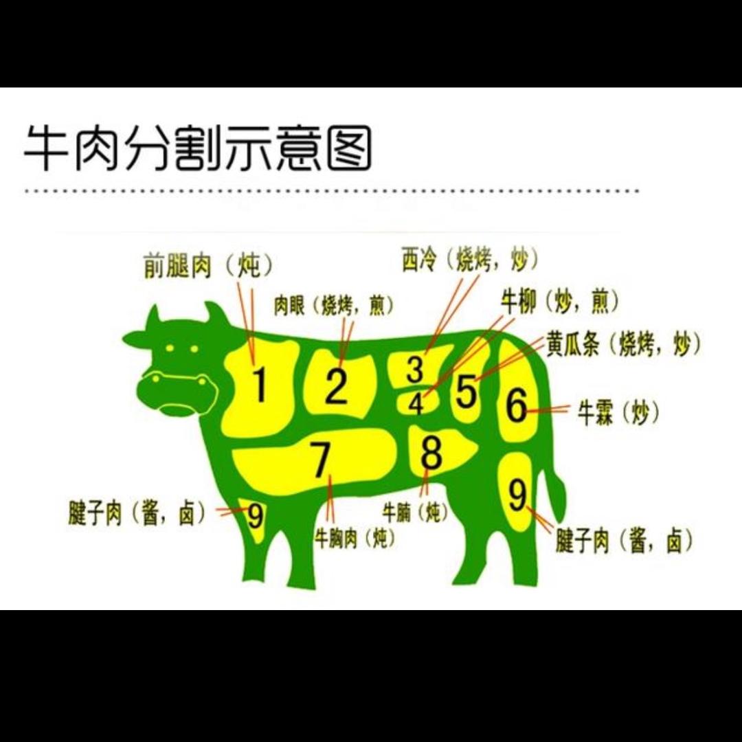 牛肉的搬运工……全牛批发