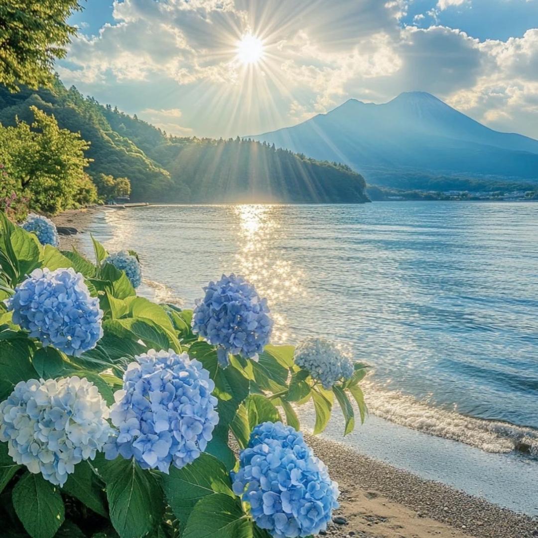 🌿花有重开时🌸