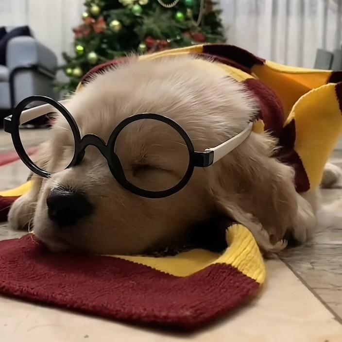 iamasleep