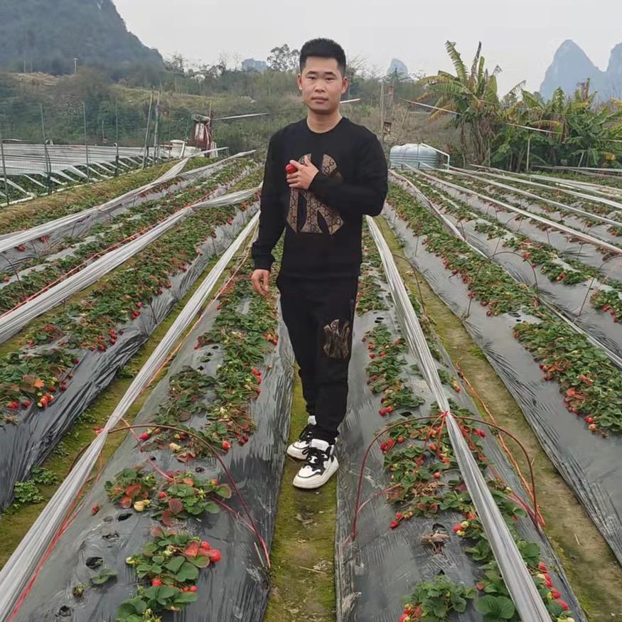 专业钢栈桥钢平台施工团队郑