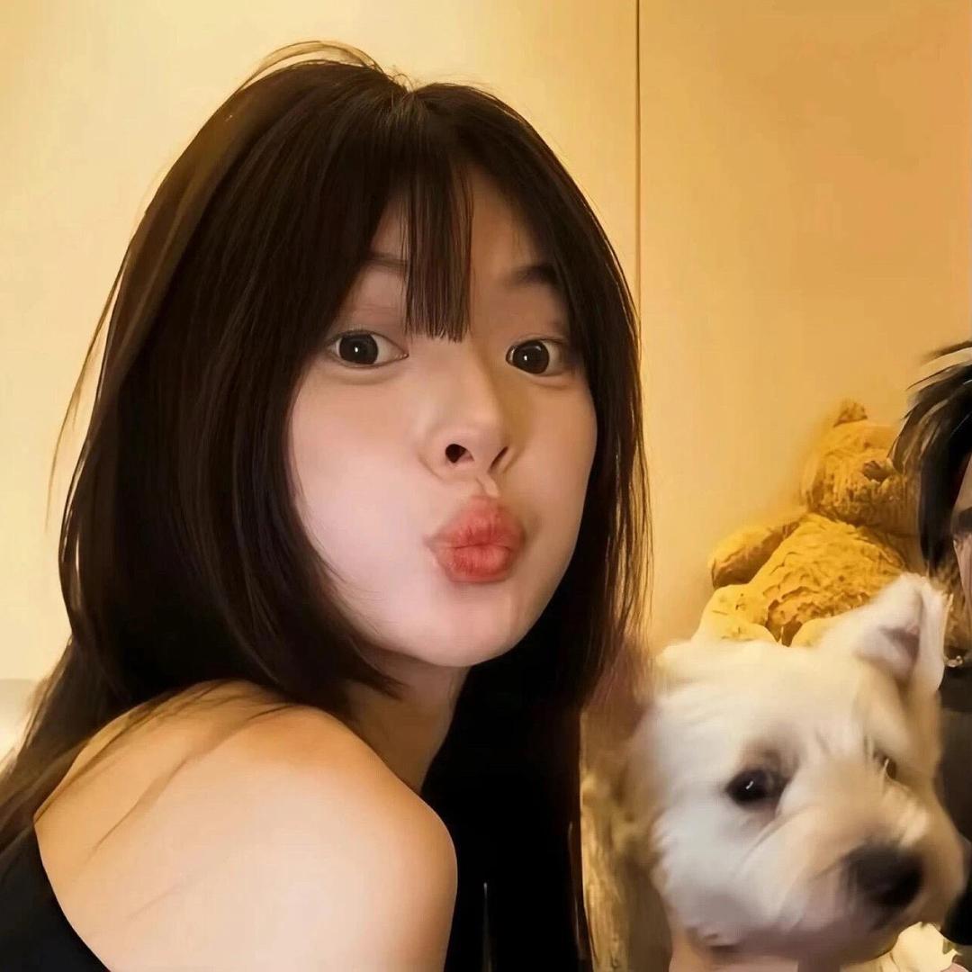 Happy小狗财滚滚⁵¹¹